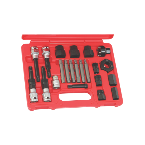 22 Piece Alternator Insert Bit Service Set T&E Tools TX2202